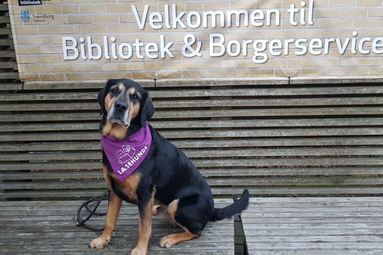 Til børnelørdag kan du møde læsehunden Indy. Foto: Svendborg Bibliotek