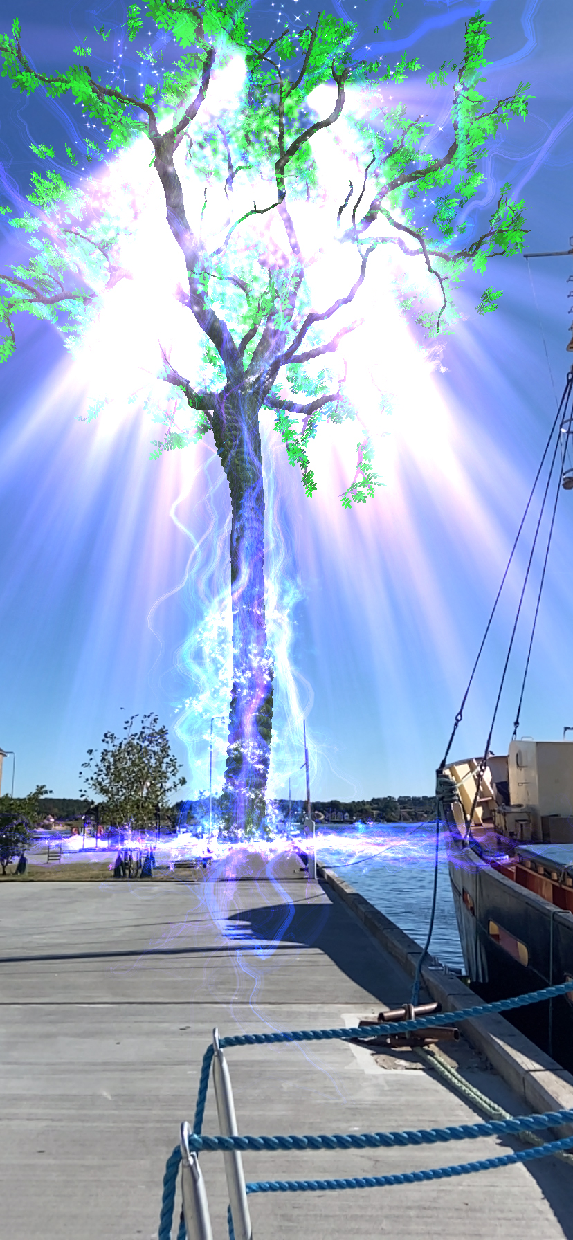 2. Photo _ Svendborg Havn _ EIWAZ TREE OF LIFE _ 2022 09 01