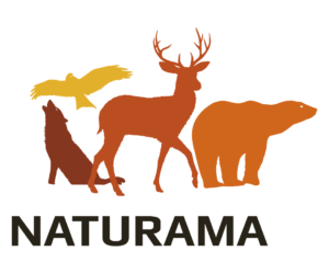 Naturama logo 2026